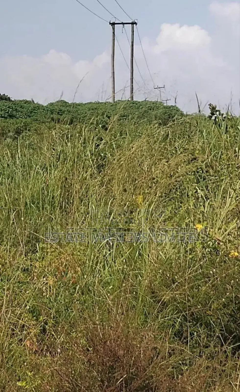Turning Properties Into Prosperity, Buy Our Lands Now