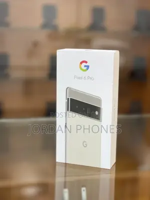 New Google Pixel 6 Pro 256 GB Silver