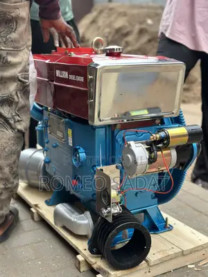 Chanfang Diesel Engine With a Key Start.