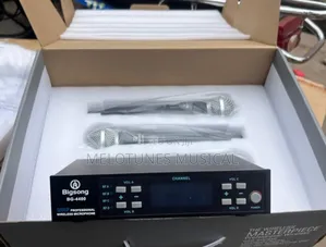 Bigsong Bg-4400 4-in-1 Professional Wireless Microphone