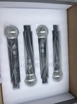 Bigsong Bg-4400 4-in-1 Professional Wireless Microphone