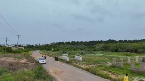 Beach View Land