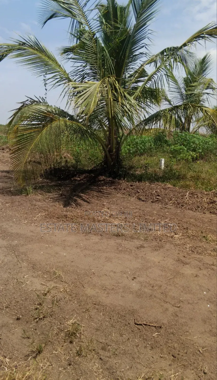 Perfect Location for Building Your Dream Home, "Dominase