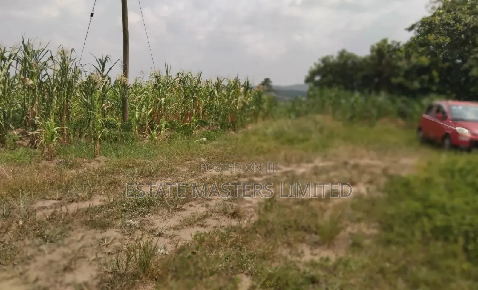 High Value Plots With Great Appreciation Potential,Dominase