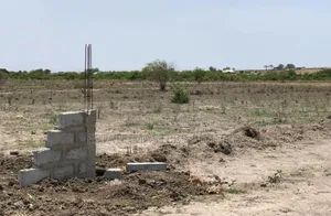 Land With All the Perks of Modern Living, "Tsopoli "