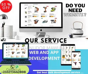 Professional Website Designing and Developing