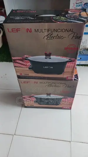 9litres Electric Cooking Pot