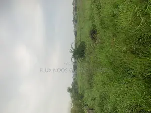 Half Plots for Sale