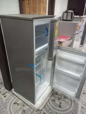 Super Economic Top Freezer Roch Fridge Silver Color Fridge