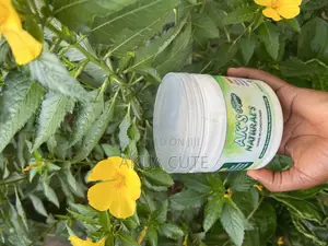 Leave-in- Conditioner