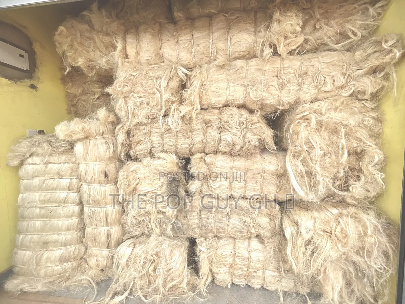 Pop Fibre (Long, Beautiful)