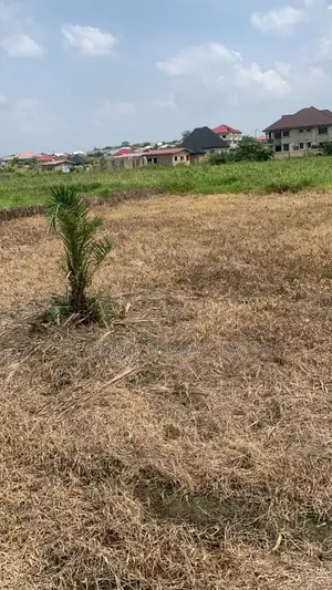 Half Plots, Full Plots for Car Swap