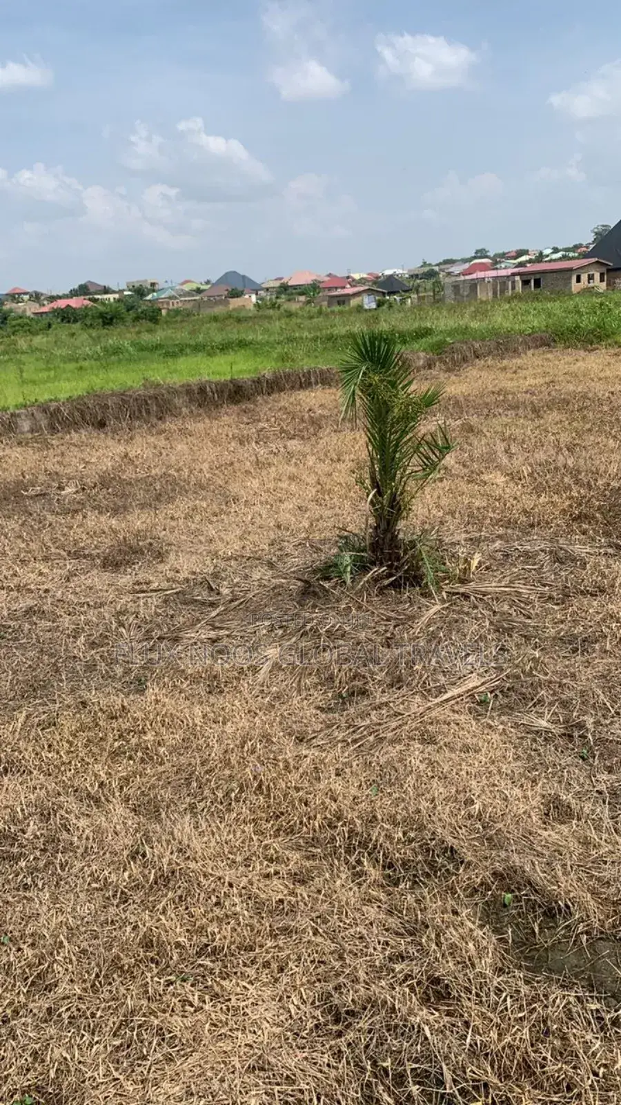 Half Plots, Full Plots for Car Swap