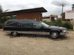 Ambulance Limo Hares Renting for Burial Services