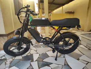Dual Batteries Electric Bike 500watts 40ah Perfect for Delivery