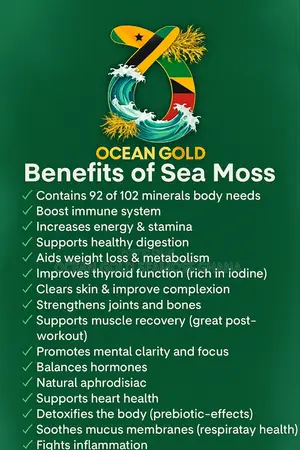 Ocean Gold Nutritional Porridge