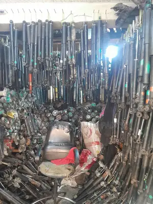 Back Shocks Absorbers