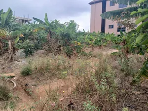 Plot of Land at Ipt