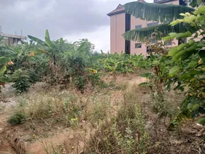 Plot of Land at Ipt