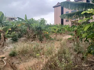 Plot of Land at Ipt