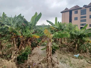Plot of Land at Ipt