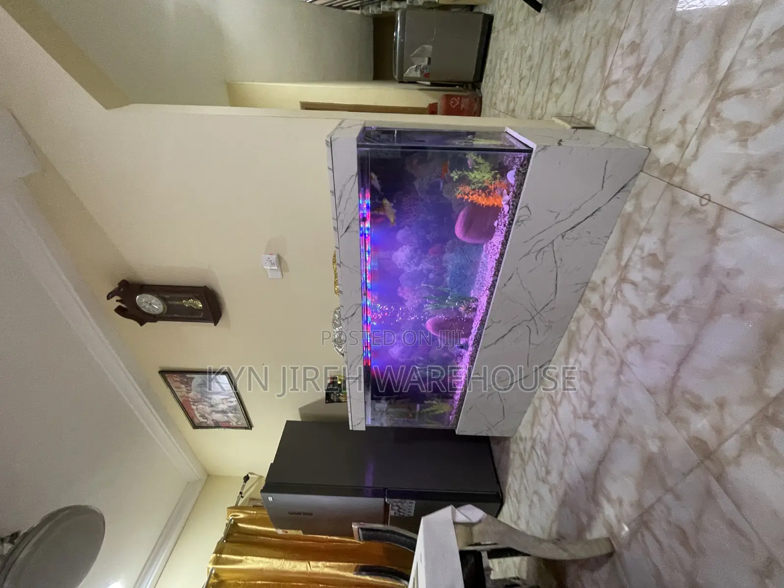 Honourable Aquarium With Live Fishes
