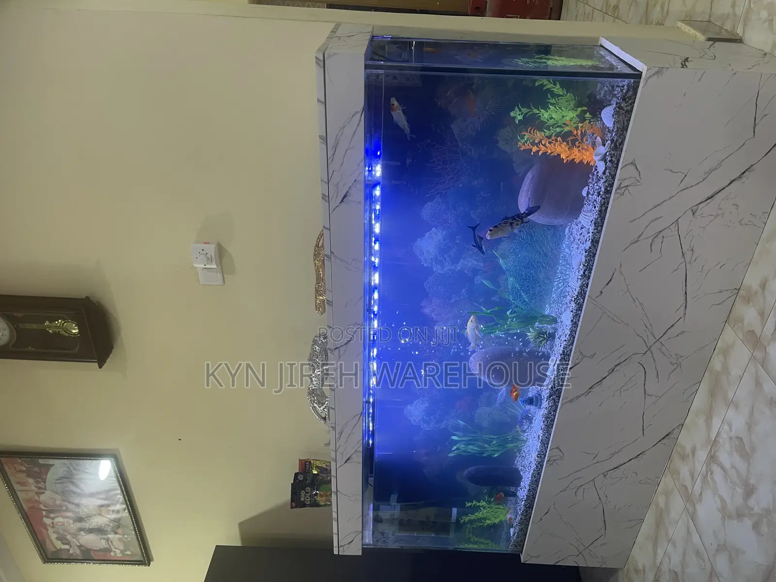 Honourable Aquarium With Live Fishes