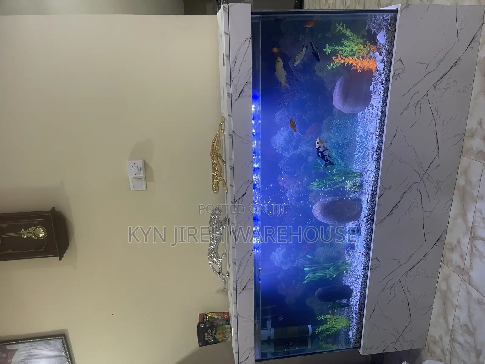 Honourable Aquarium With Live Fishes
