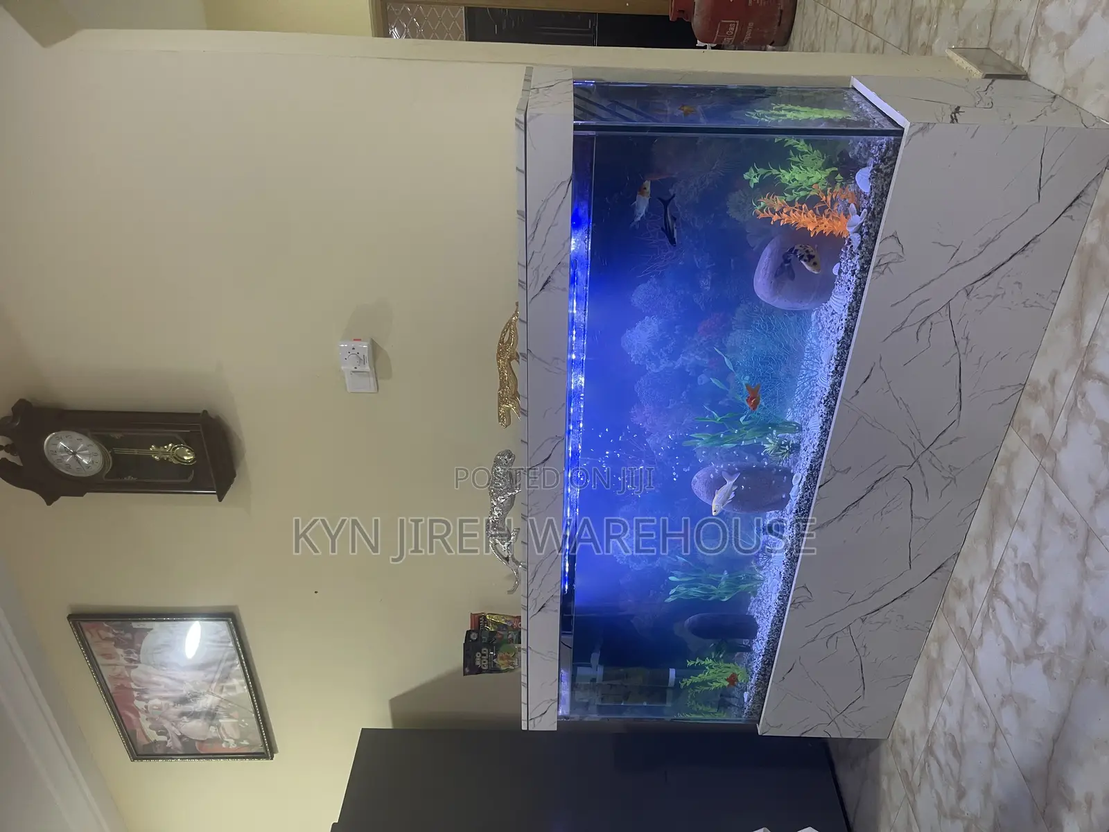Honourable Aquarium With Live Fishes