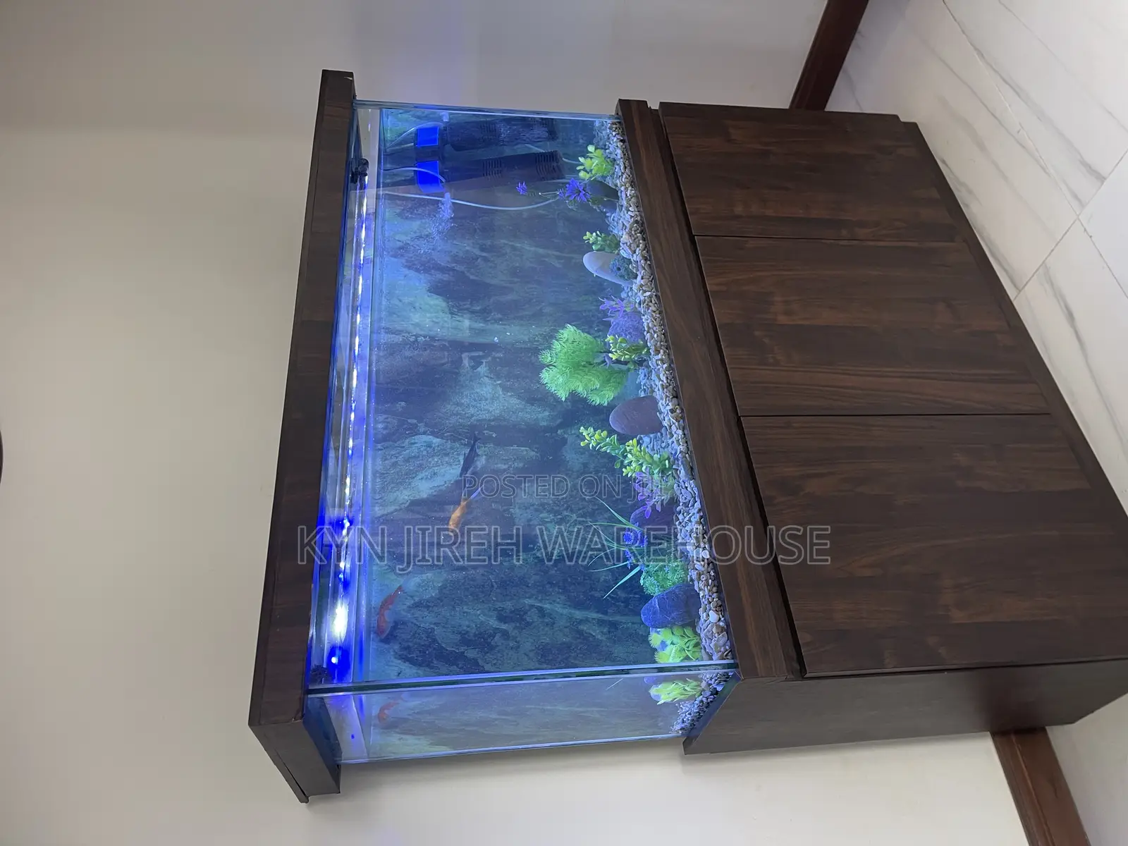 Dominion Aquarium With Live Fishes