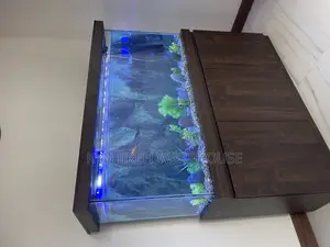 Dominion Aquarium With Live Fishes