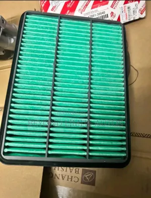 All Kinds of Cars Air Filter Available