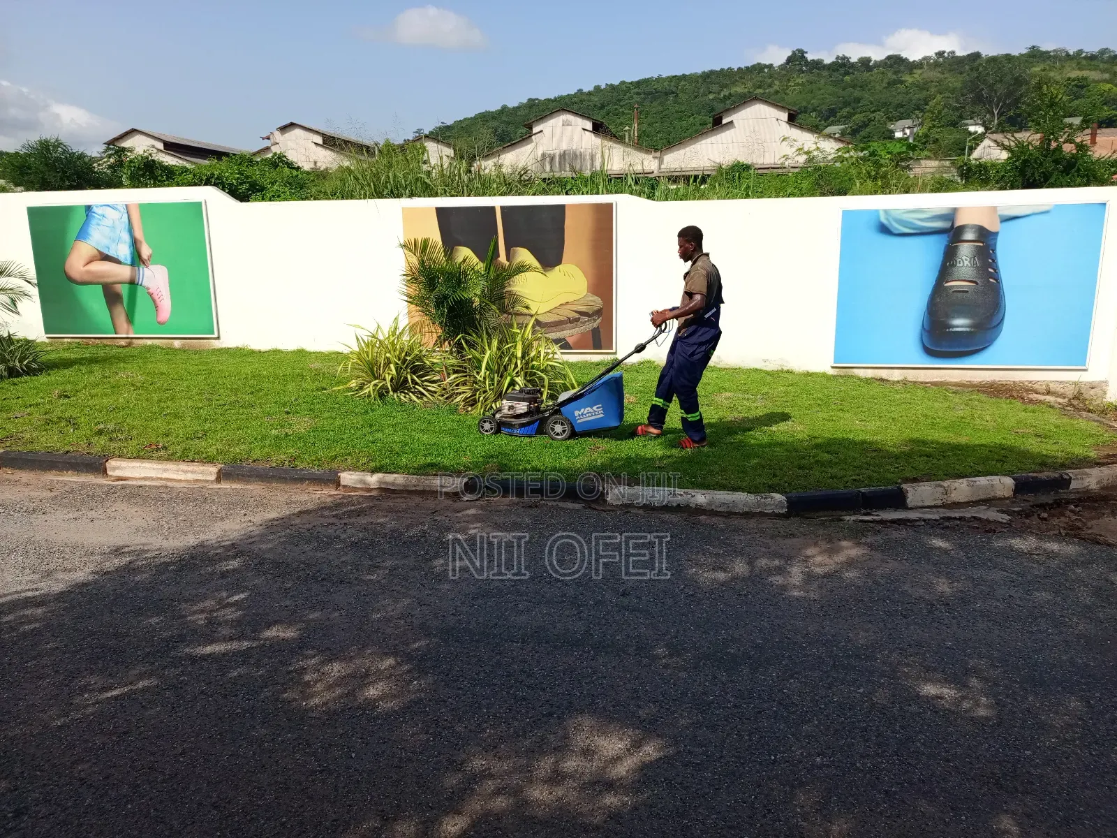 Natural Grass