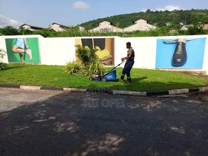 Natural Grass