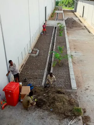 Natural Grass
