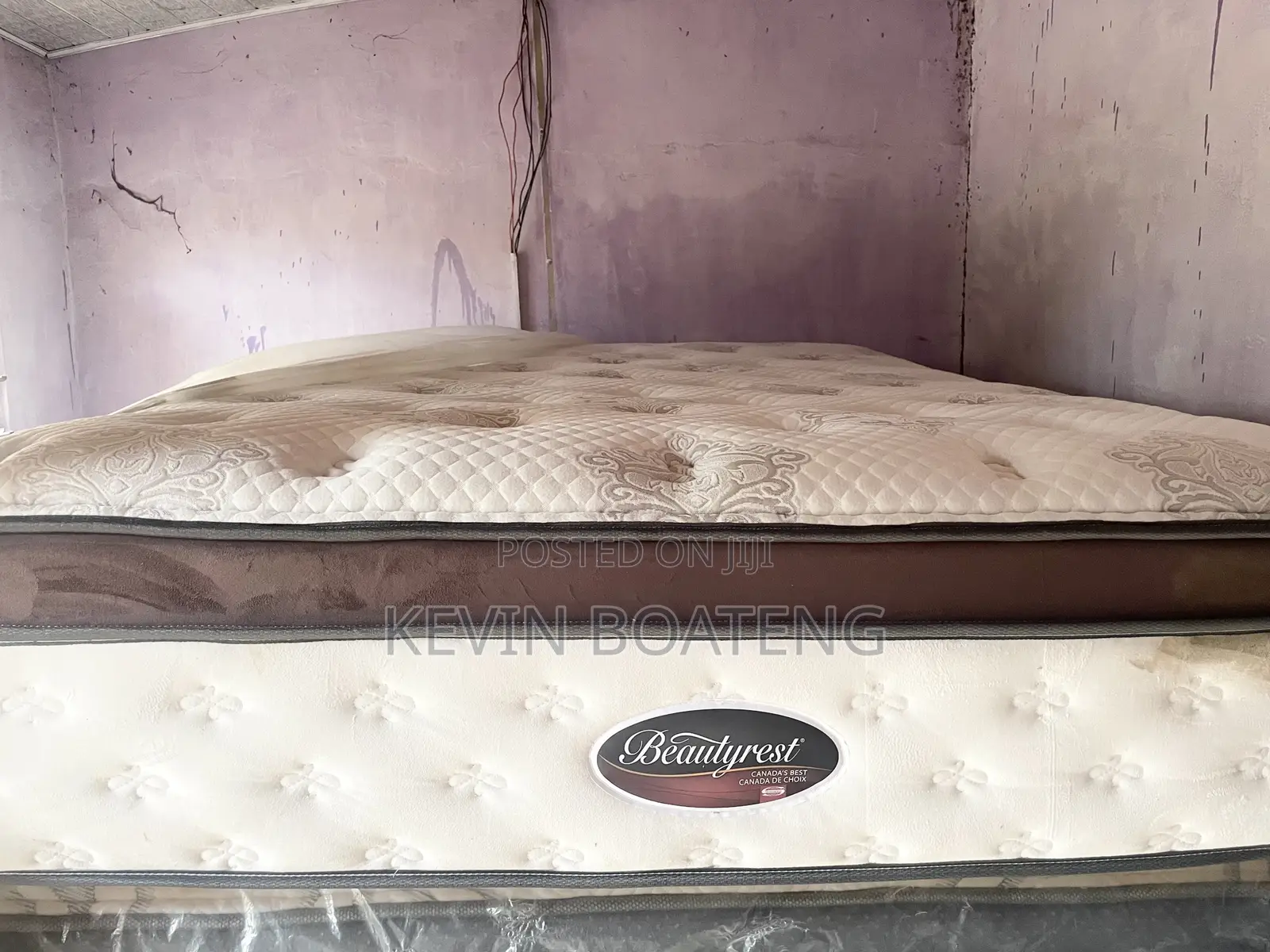 Beautyrest Elite Scott Plush Beds(Queen) 60/80 15inches