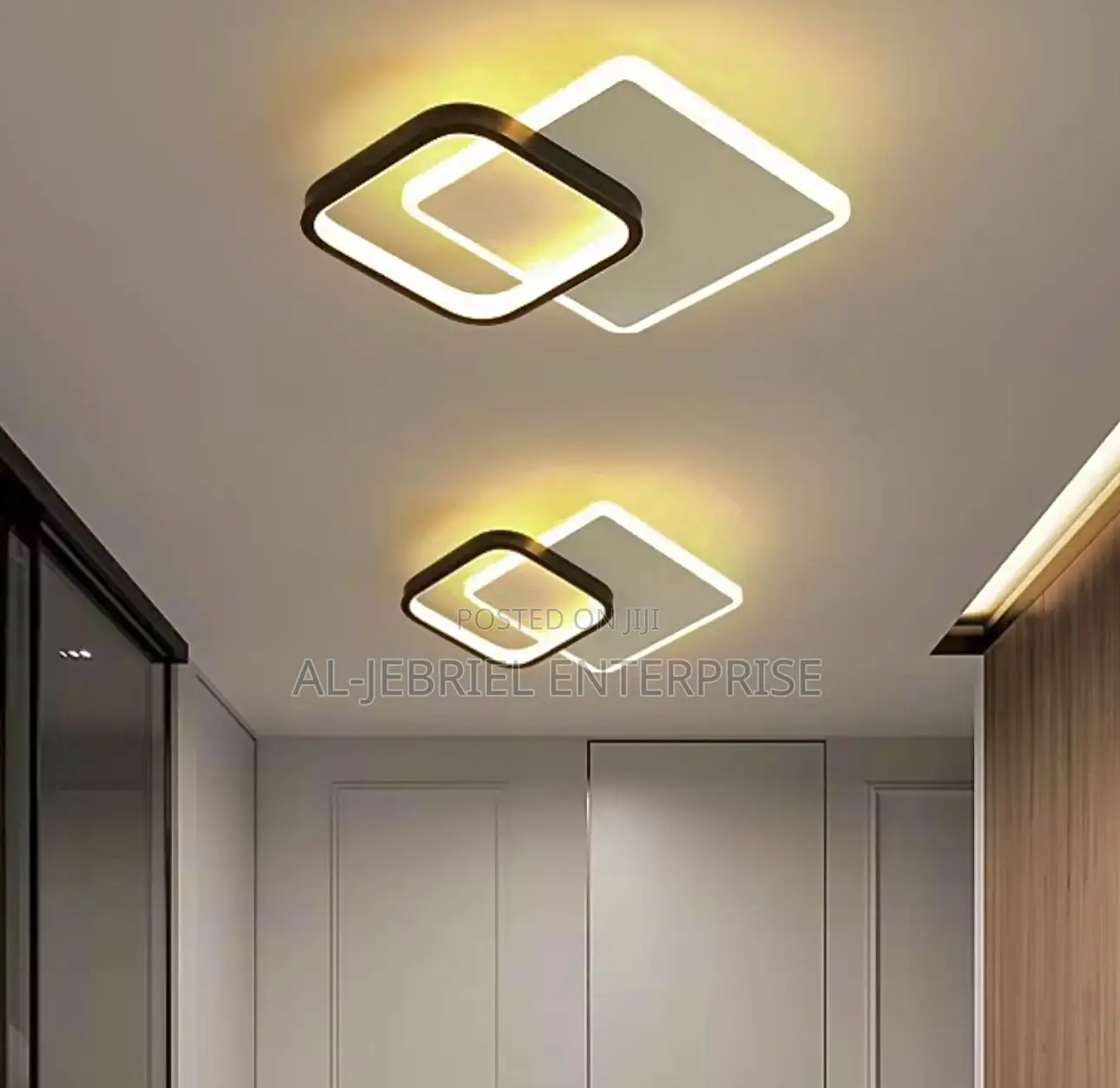 Luxury Ceiling Light