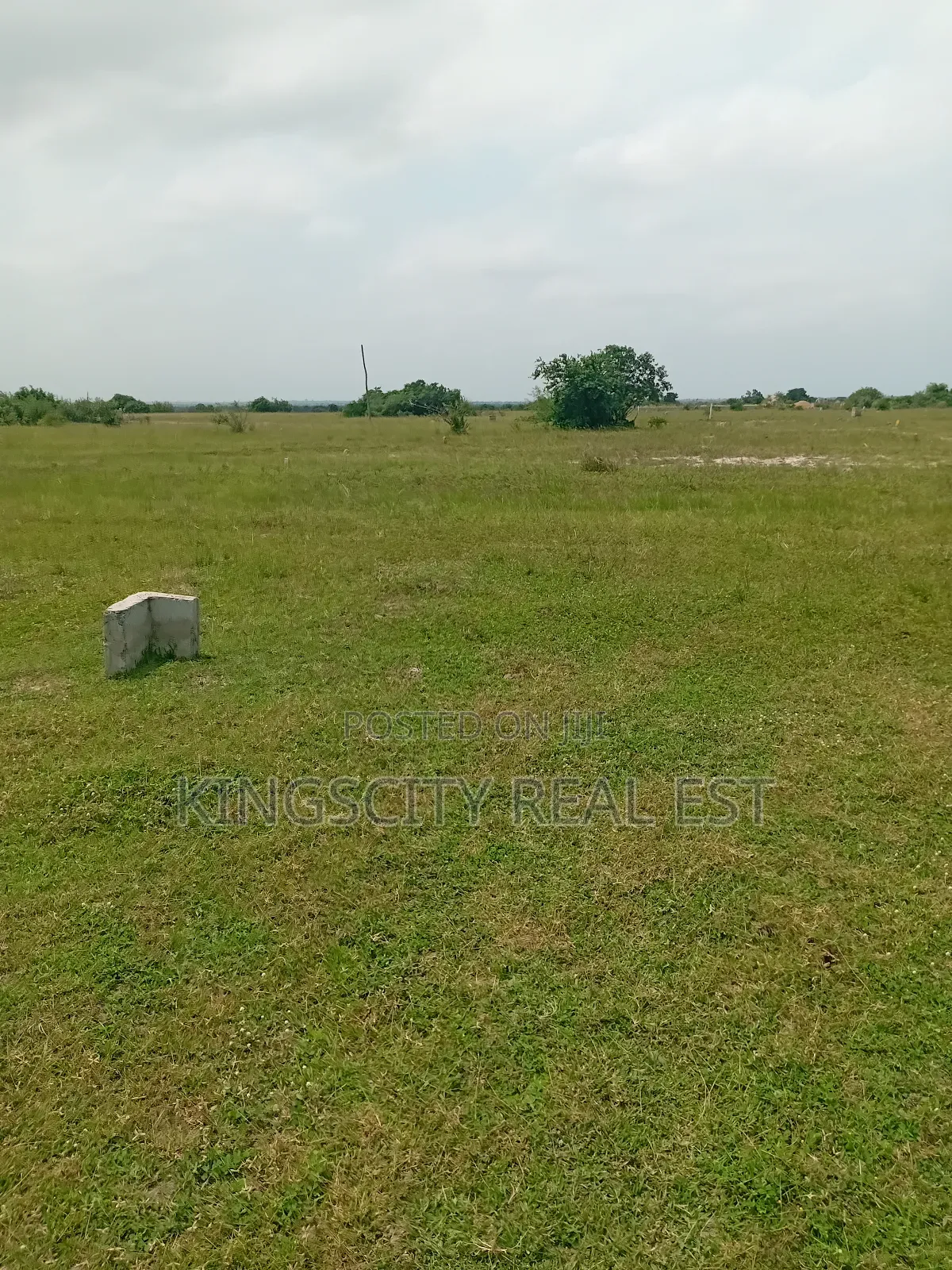 Don't Be Left Out, Buy Land Today