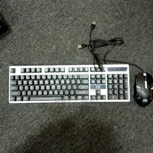 RGB Keyboard and Mouse