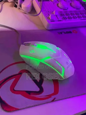 Gaming RGB Keyboard and Mouse