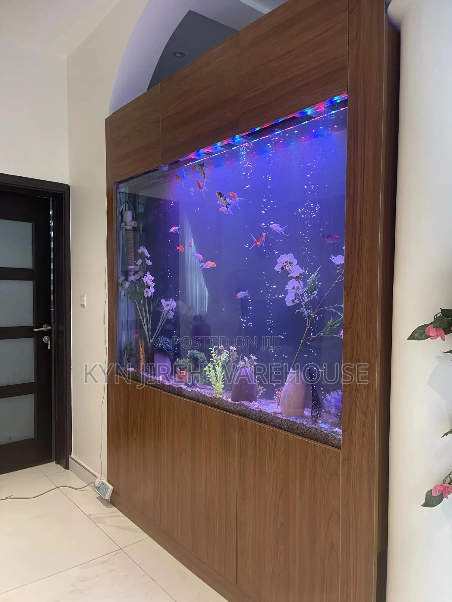 London Aquarium With Live Fishes