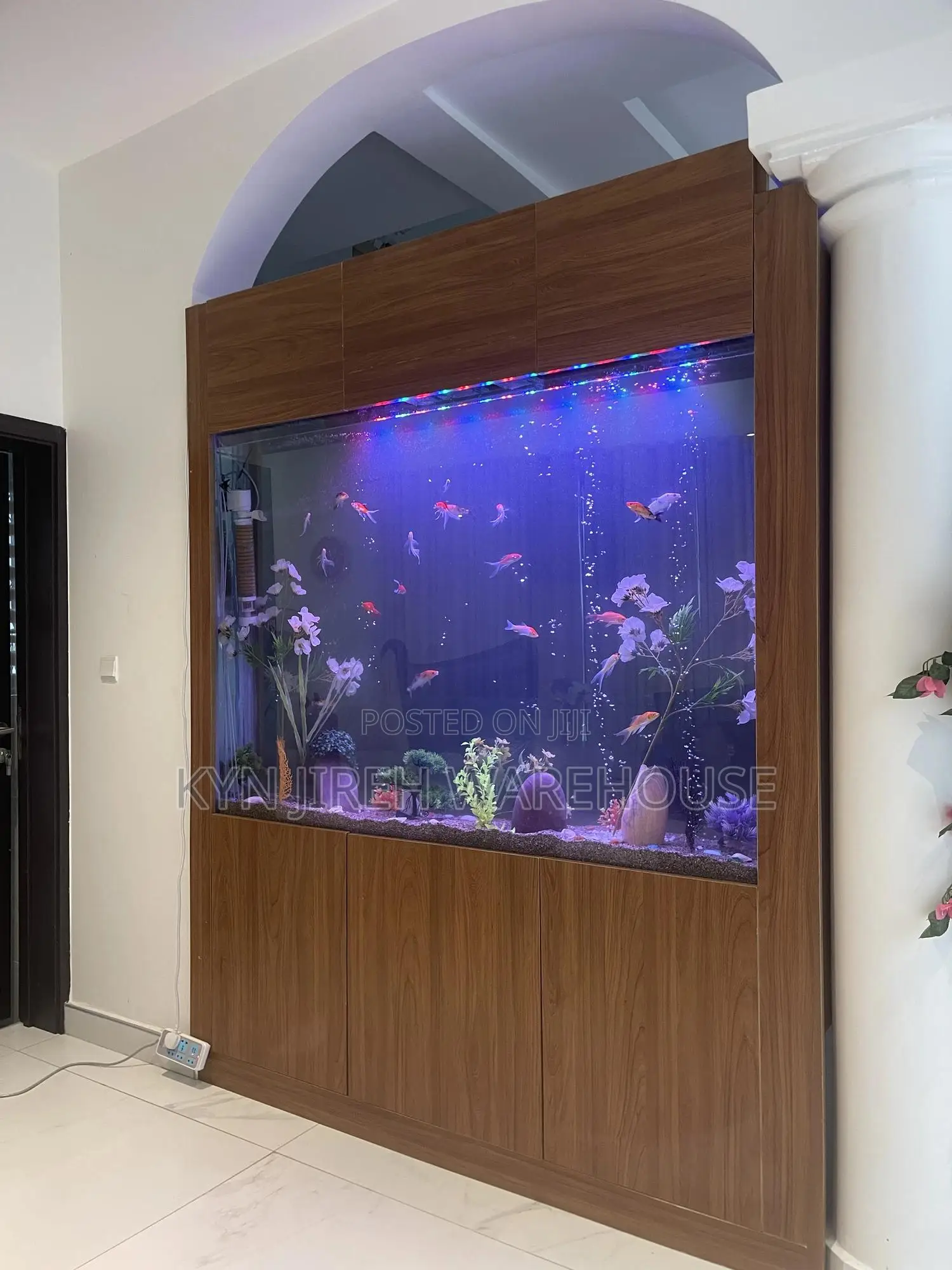 London Aquarium With Live Fishes