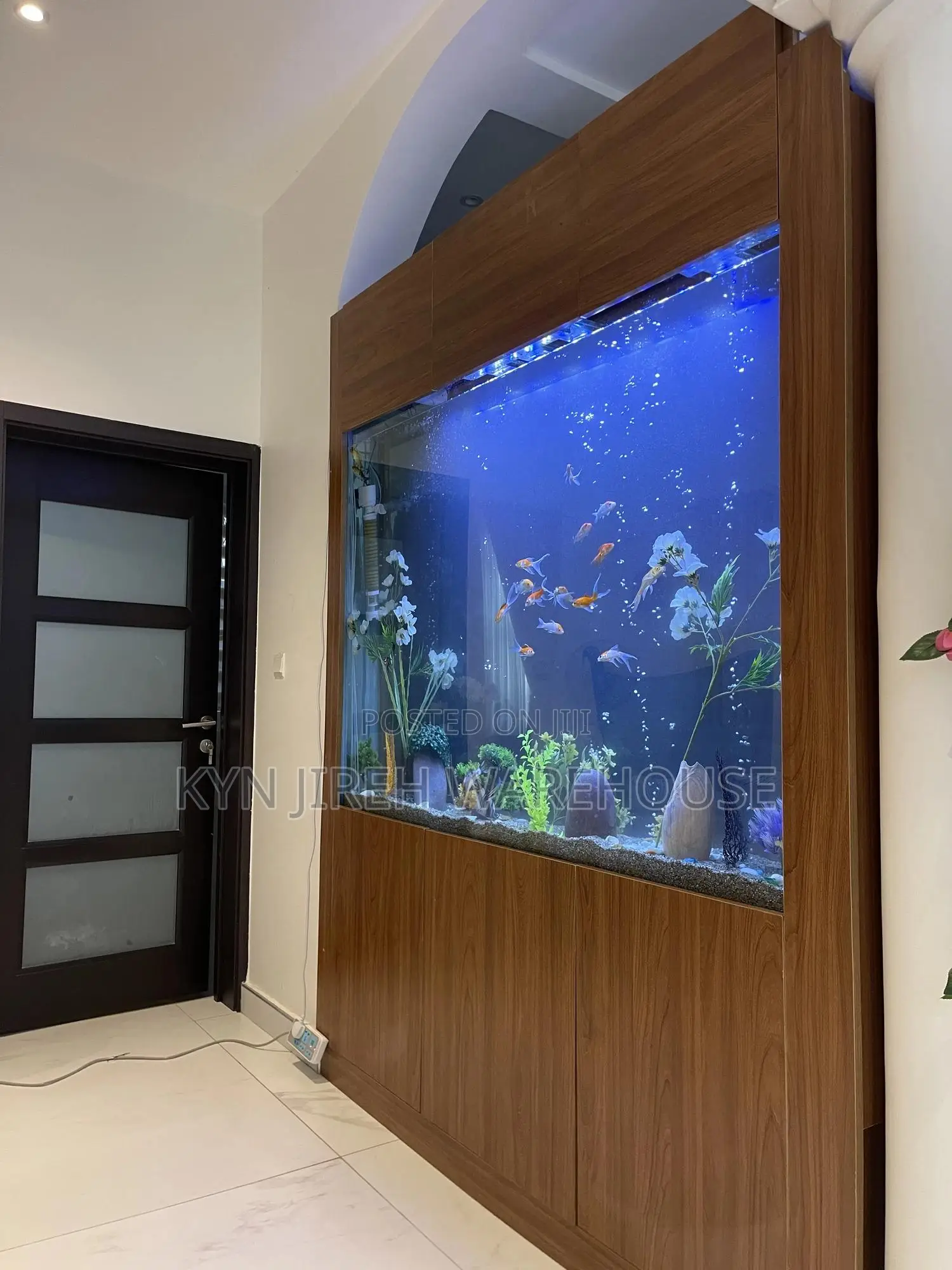 London Aquarium With Live Fishes