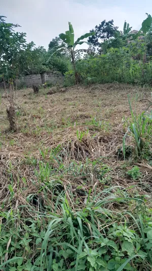 Registered Plots for Sale at Samsam Near Mayera Pokuase