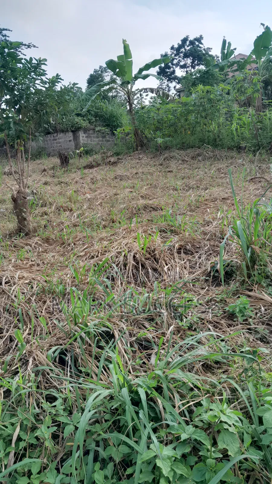 Registered Plots for Sale at Samsam Near Mayera Pokuase
