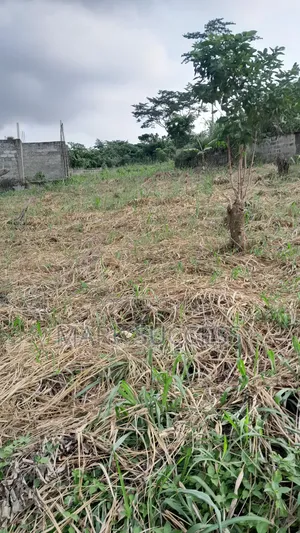 Registered Plots for Sale at Samsam Near Mayera Pokuase