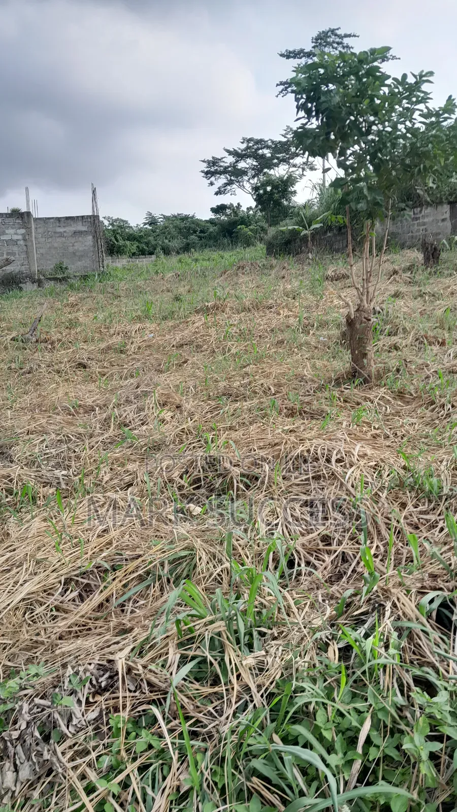 Registered Plots for Sale at Samsam Near Mayera Pokuase