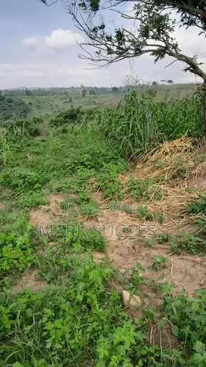 Registered Plots for Sale at Samsam Near Mayera Pokuase