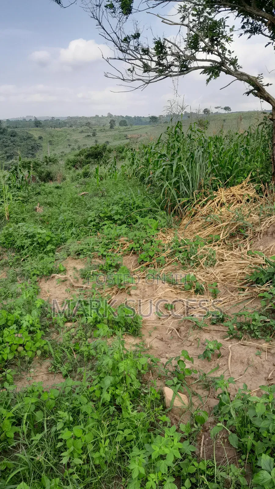Registered Plots for Sale at Samsam Near Mayera Pokuase