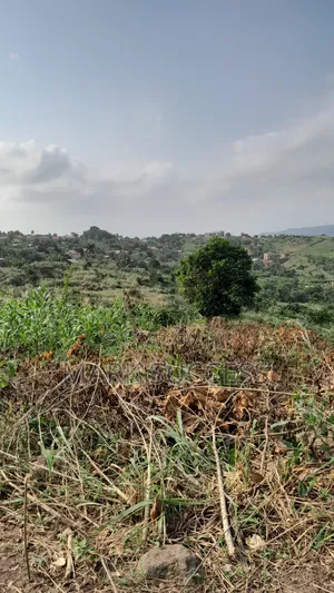 Registered Plots for Sale at Samsam Near Mayera Pokuase